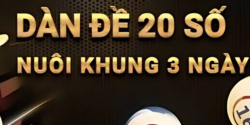Dàn đề nuôi khung 3 ngày hiệu quả